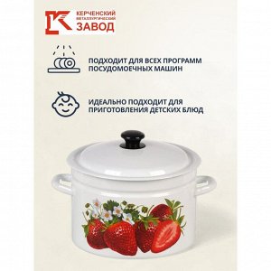 Кастрюля эмалированная сталь, 8 л, с крышкой, крышка сталь, цилиндрическая, Керченский металлургический завод, Клубника садовая, 41804-202/6-У2