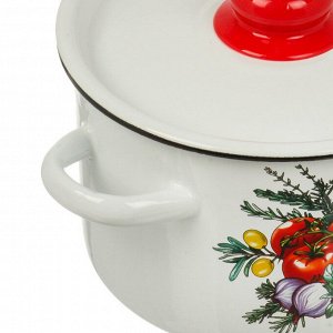 Кастрюля эмалированная сталь, 2.9 л, с крышкой, крышка сталь, кнопка, цилиндр, СтальЭмаль, Смак, 1с16с/1, белая, индукция