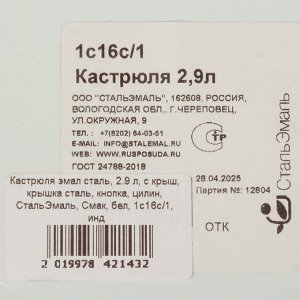 Кастрюля эмалированная сталь, 2.9 л, с крышкой, крышка сталь, кнопка, цилиндр, СтальЭмаль, Смак, 1с16с/1, белая, индукция