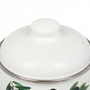 Кастрюля эмалированная сталь, 2 л, с крышкой, крышка сталь, полусфера, ЛЗЭП, Оливковая ветвь, С-4210АП2/4, индукция