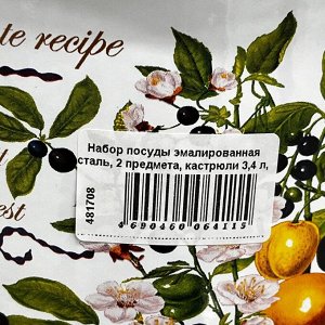 Набор посуды эмалированная сталь, 2 предмета, кастрюли 3,4 л, индукция, СтальЭмаль, №43 Вкусный компот, 6KB431M, белый