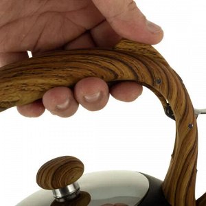 Чайник 3л из нержавеющей стали со свистком и ручкой "soft touch" (черный)