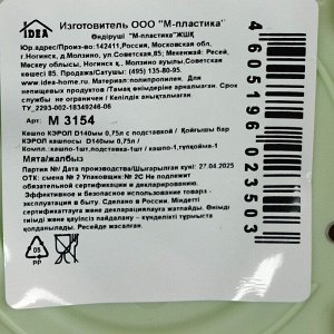 Горшок для цветов пластик, 0.75 л, 14х10 см, мятный, Idea, Кэрол, М 3154
