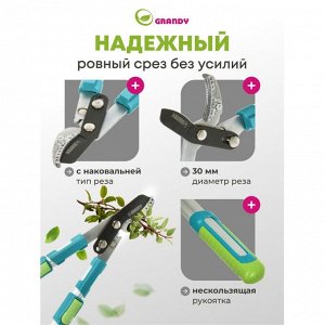 Сучкорез для веток, 740 мм, с наковальней, Grandy, телескопическая штанга, рукоятка алюминий, 402518