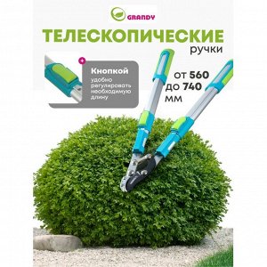 Сучкорез для веток, 740 мм, с наковальней, Grandy, телескопическая штанга, рукоятка алюминий, 402518