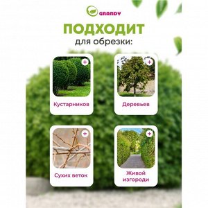 Сучкорез для веток, 740 мм, с наковальней, Grandy, телескопическая штанга, рукоятка алюминий, 402518