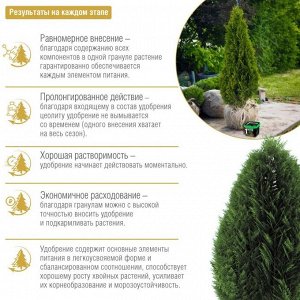 Удобрение Осеннее, для хвойных, с биодоступным кремнием, пролонгированное, ведро, минеральное, 1 л, Bona Forte