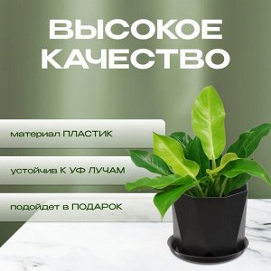 Кашпо пластик, 1 л, 13х11 см, для цветов, с поддоном, графит, Idea, Призма, М 3137