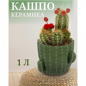Кашпо керамика, 1 л, 14х12х14 см, Кактус, Y4-3081