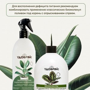 Удобрение Биомолекулы, для декоративно-лиственных, спрей, 500 мл, Удобряй