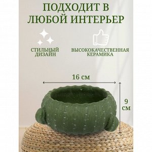 Кашпо керамика, 1.2 л, 16х9х9 см, Кактус, Y4-3079