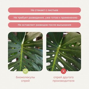Удобрение Биомолекулы, для комнатных и балконных цветов, спрей, 500 мл, Удобряй!