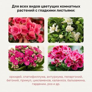 Удобрение Биомолекулы, для комнатных и балконных цветов, спрей, 500 мл, Удобряй!
