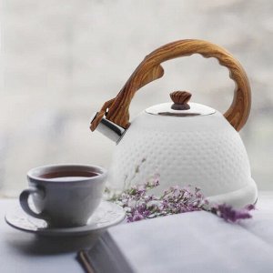 Чайник 2,7л из нержавеющей стали со свистком и ручкой soft touch