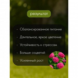 Удобрение для гортензий, пролонгированное, с биодоступным кремнием, ведро, минеральный, гранулы, 800 г, Bona Forte