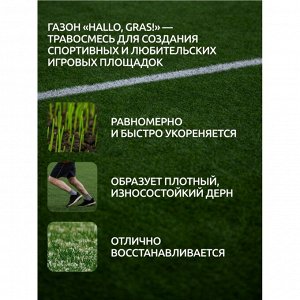 Семена Газон, Sport Meister Gras, 1 кг, мешок, ГазонCity