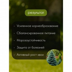 Удобрение для хвойных, пролонгированное, с биодоступным кремнием, ведро, минеральный, гранулы, 1 л, Bona Forte