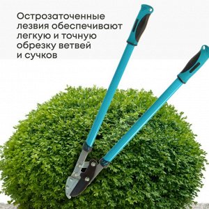 Сучкорез 750 мм, с наковальней, двухрычажный механизм, Grandy, рукоятка двухкомпонентная