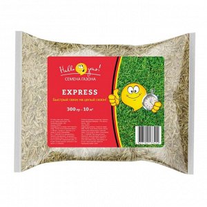Семена Газон, Express, 300 г, пакет, ГазонCity