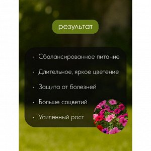 Удобрение для петуний и бегоний, пролонгир, с биодоступн кремнием, ведро, гранулы, 1 л, Bona Forte