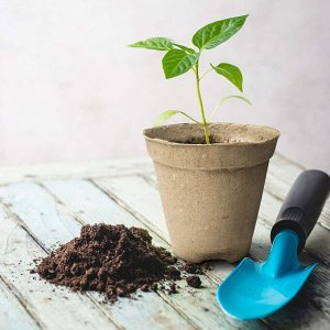 Горшок торфяной 100 мм, 20 шт, с улучшенным дном, ГазонCity