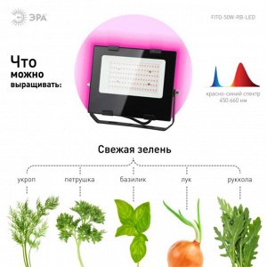 Светильник-прожектор светодиодный для растений, 50 Вт, 180-240 В, Эра, Фито FITO-50W-RB-LED, Б0046368
