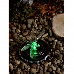 Фонарь садовый Uniel, Magic dragonfly USL-S-106/PT075, на солнечной батарее, водный, пластик, 12х7.5 см