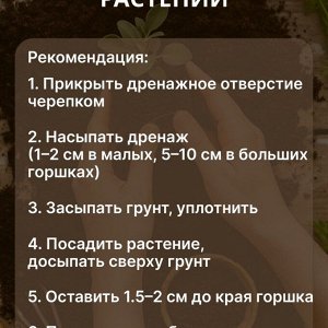 Грунт Жирнозем, универсальный, 20 л, Peter Peat