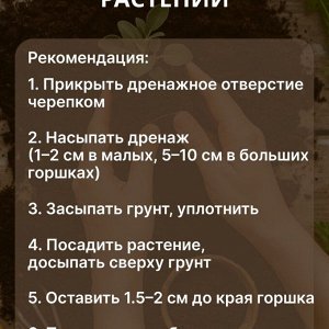 Грунт Азбука роста, универсальный, 50 л, Фабрика грунтов
