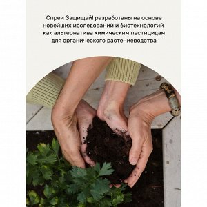 Фунгицид от мучнистой росы, 450 мл, спрей, Защищай!