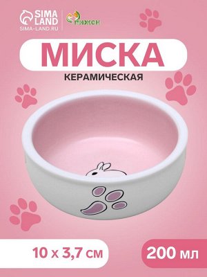 Миска керамическая для кроликов 200 мл 10 х 3,7 см, бело-розовая