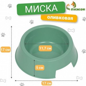 Миска пластиковая 17x17x5 см, 400 мл, оливковая