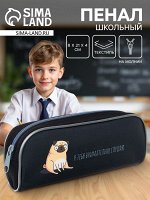 Пенал школьный, текстиль, 8x21x4 см«Мопс»