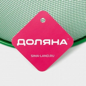 Крышка - сетка для продуктов Доляна «Вкус», d=24 см, цвет МИКС