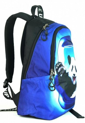 Рюкзак Молодежный рюкзак. +Два вместительных отделения. +Подвесной карман для мелочи. +Плотная, поролоновая спинка(стеганая) +Яркие, стойкие принты. + Плотное дно + Вес всего 650 грамм + Двойные пулле