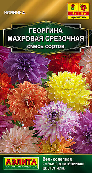 Георгина Махровая срезочная, смесь сортов