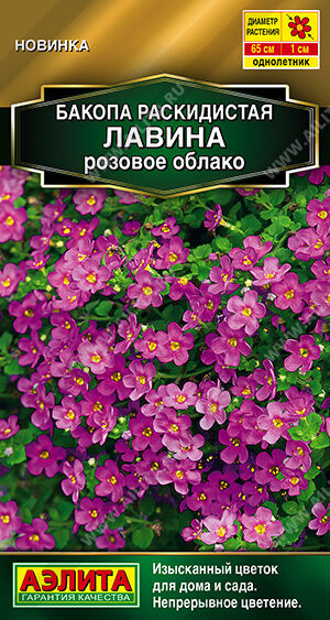 Бакопа раскидистая Лавина розовое облако