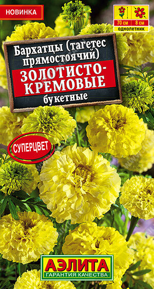 Бархатцы Золотисто-кремовые букетные прямостоячие