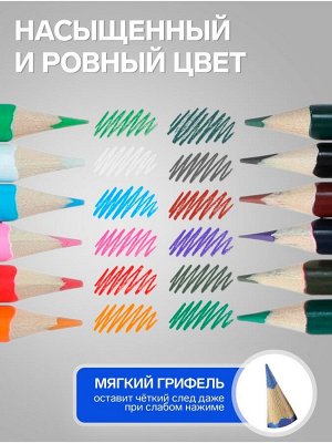 Карандаши Calligrata, цветные, двухцветные, 12 цветов, 6 шт., деревянные, трёхгранные