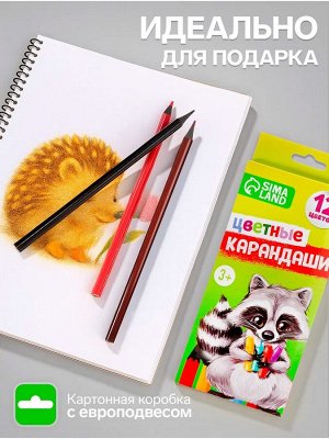 Карандаши Calligrata цветные заточенные, 12 цветов, в картонной коробке