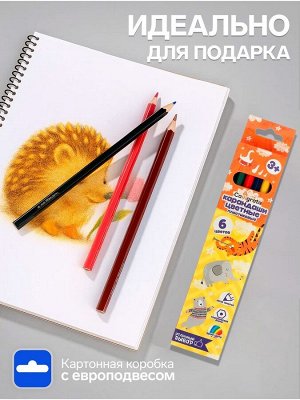 Карандаши Calligrata, цветные, 6 цветов, эконом, шестигранные, пластиковые