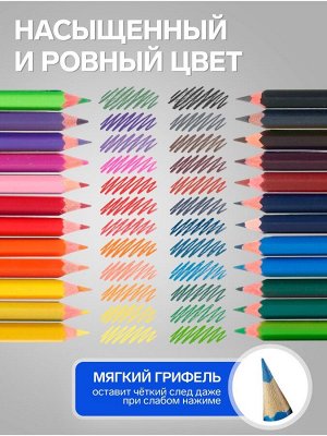 Карандаши Calligrata, цветные, 24 цвета, эконом, шестигранные, пластиковые
