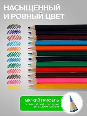 Карандаши Calligrata, цветные, 12 цветов, мини