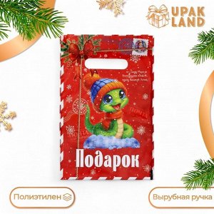 Пакет «Змея подарок», полиэтиленовый с вырубной ручкой, 20x30 см, 30 мкм