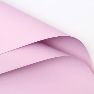 Пленка для цветов тонированная, матовая, нежная сирень, 58x58 см, 70 мкм