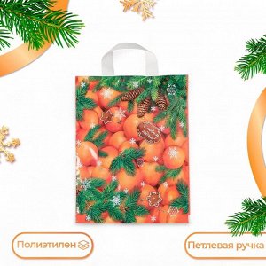 Пакет подарочный «Новогодний десерт», полиэтиленовый с петлевой ручкой, 28x35 см