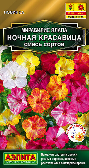 Мирабилис Ночная красавица, смесь сортов