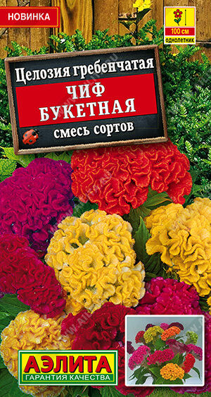 Целозия гребенчатая Чиф букетная, смесь сортов