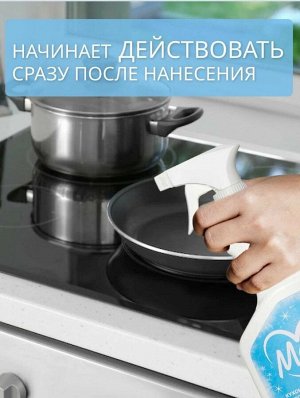 Антижир для кухни МОЙ, 500мл