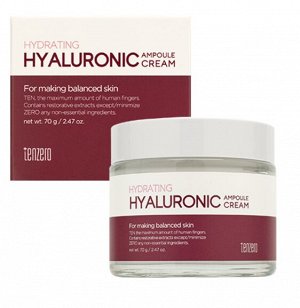 TENZERO. Увлажняющий ампульный крем для лица с гиалуроновой кислотой HYALURONIC AMPOULE CREAM 2X 70г
